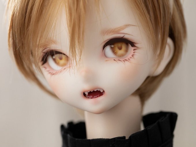 お品書きや販売方法等は前日までにブログで告知しますが、ひとまず写真…DDはこちらの3ヘッド持っていきます。開口ちゃんのみ先着順、あとの2人は抽選販売予定です。値段は3〜4万くらいを考えてます〜。#アイドール東京 