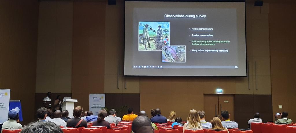 James Allan (@jamesecology) on Twitter photo Rangers, ministers, scientists, and a field team all presenting in a brilliant @ICCB2023 symposium on lion monitoring in East Africa!
Well done <a href="/alexbraczkowski/">Alex Braczkowski</a>, <a href="/ArjunGswamy/">Arjun Gopalaswamy</a> and team. Setting the bar high. Rangers, ministers, scientists, and a field team all presenting in a brilliant @ICCB2023 symposium on lion monitoring in East Africa!
Well done <a href="/alexbraczkowski/">Alex Braczkowski</a>, <a href="/ArjunGswamy/">Arjun Gopalaswamy</a> and team. Setting the bar high.