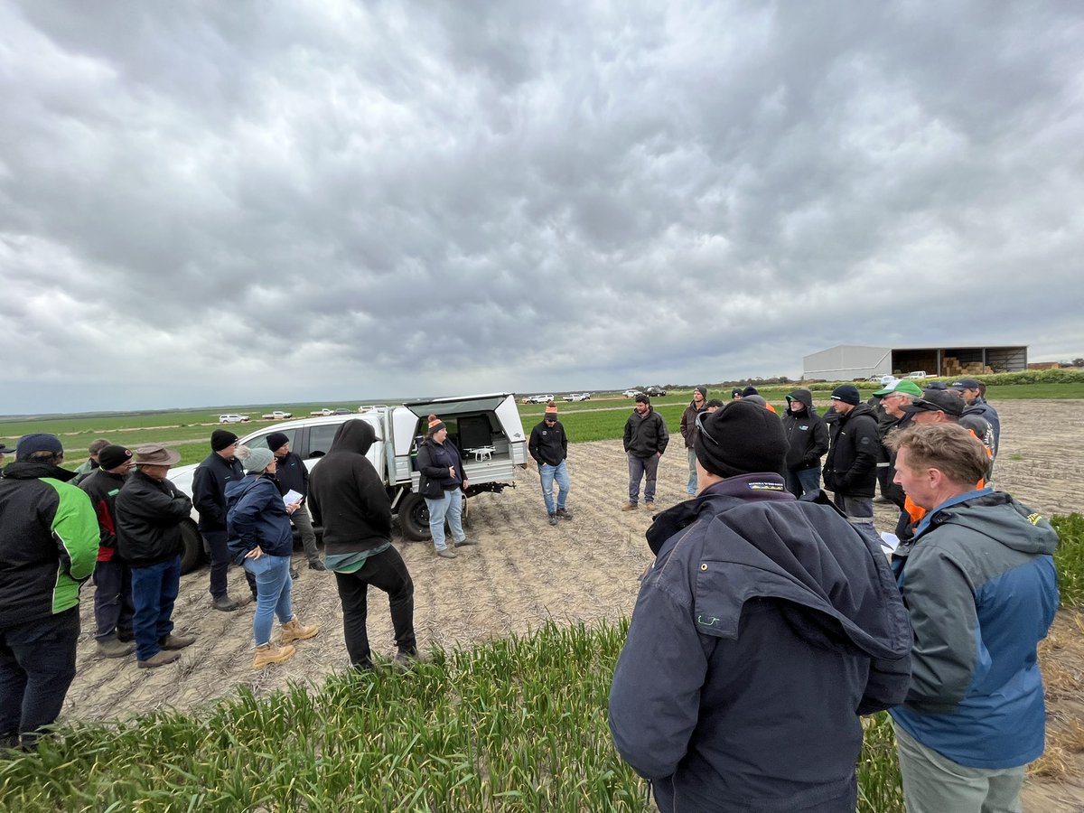 Georgia Trainor tweet media