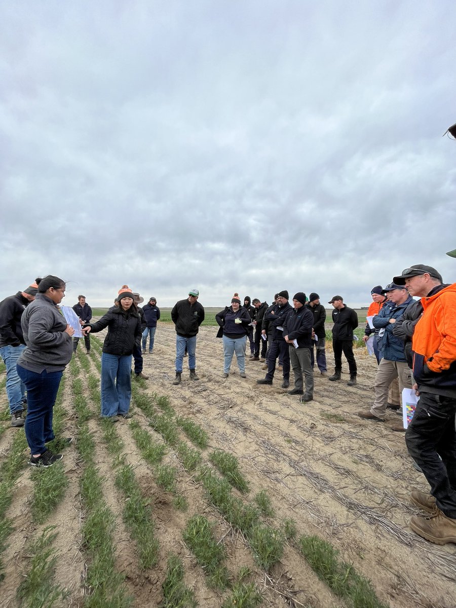 Georgia Trainor tweet media