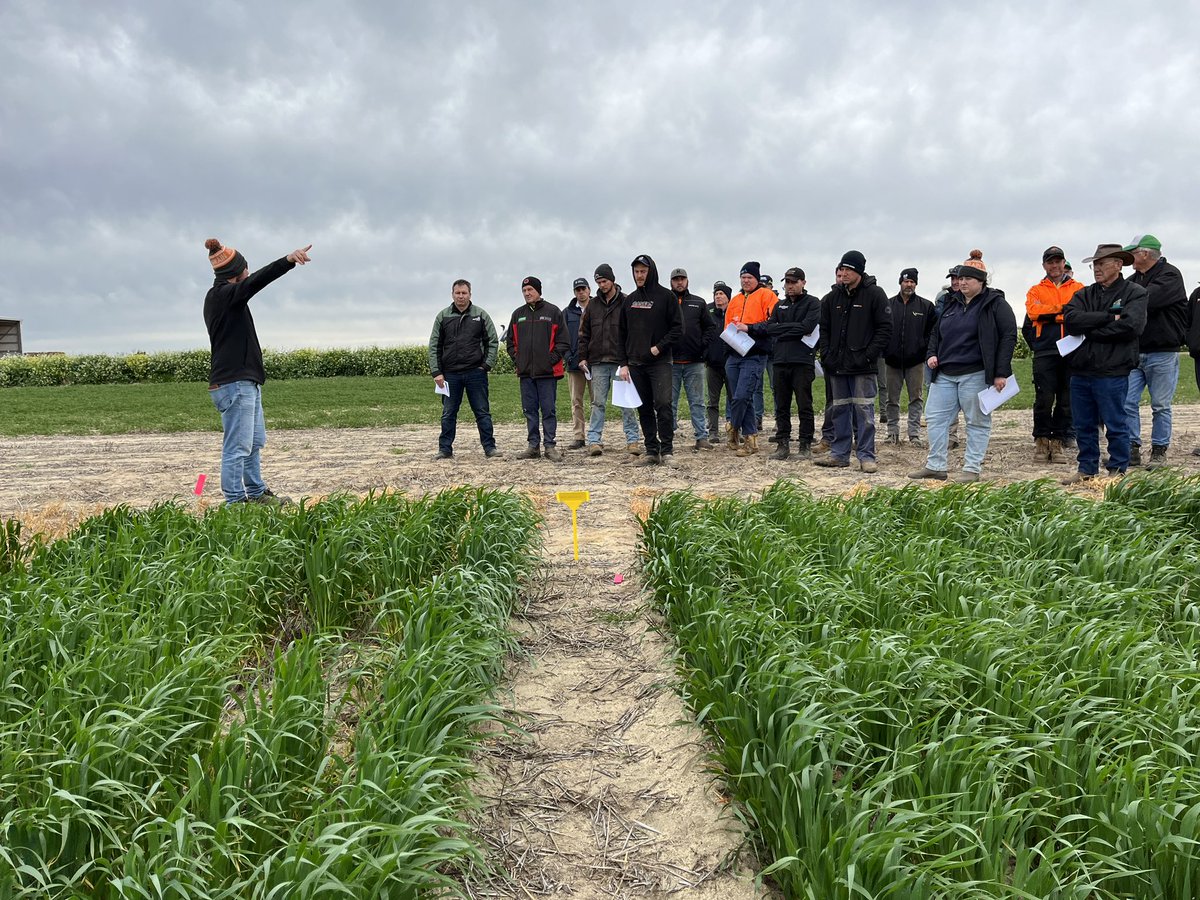 Georgia Trainor tweet media