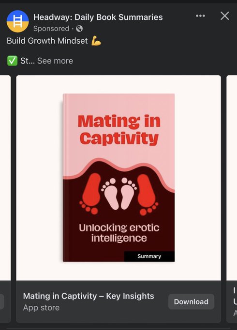 What kind of person does the algorithm think I am? &hellip; https://t.co/Qr1Rs6ih4z<a href="/tag/tortietude"class="tags"><span>#tortietude</span></a>