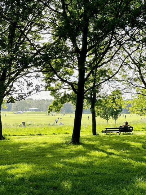 How nice to find solace in the beauty of nature's tapestry.