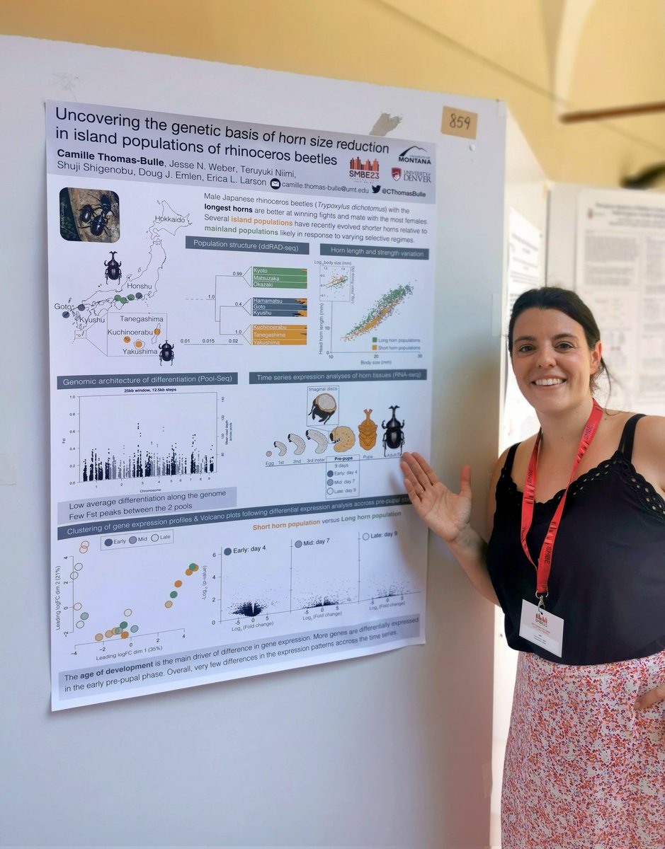 Camille Thomas-Bulle tweet media