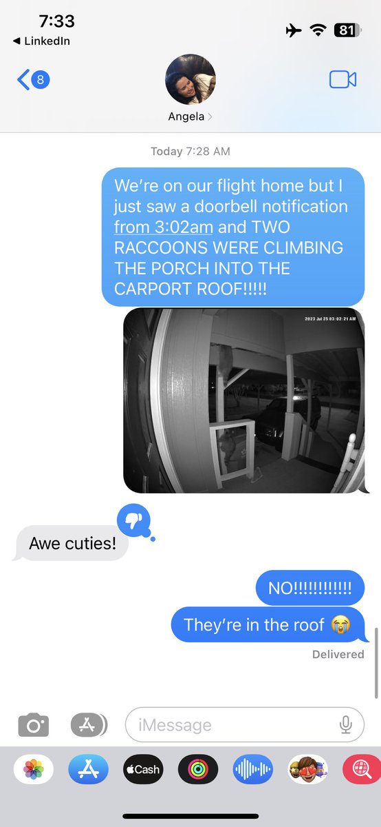 taylor_917's tweet photo. nightmare nightmare nightmare!!! what if they fall into the ceiling and fight my cat!!!!!!!!! https://t.co/x47rwuEWB6