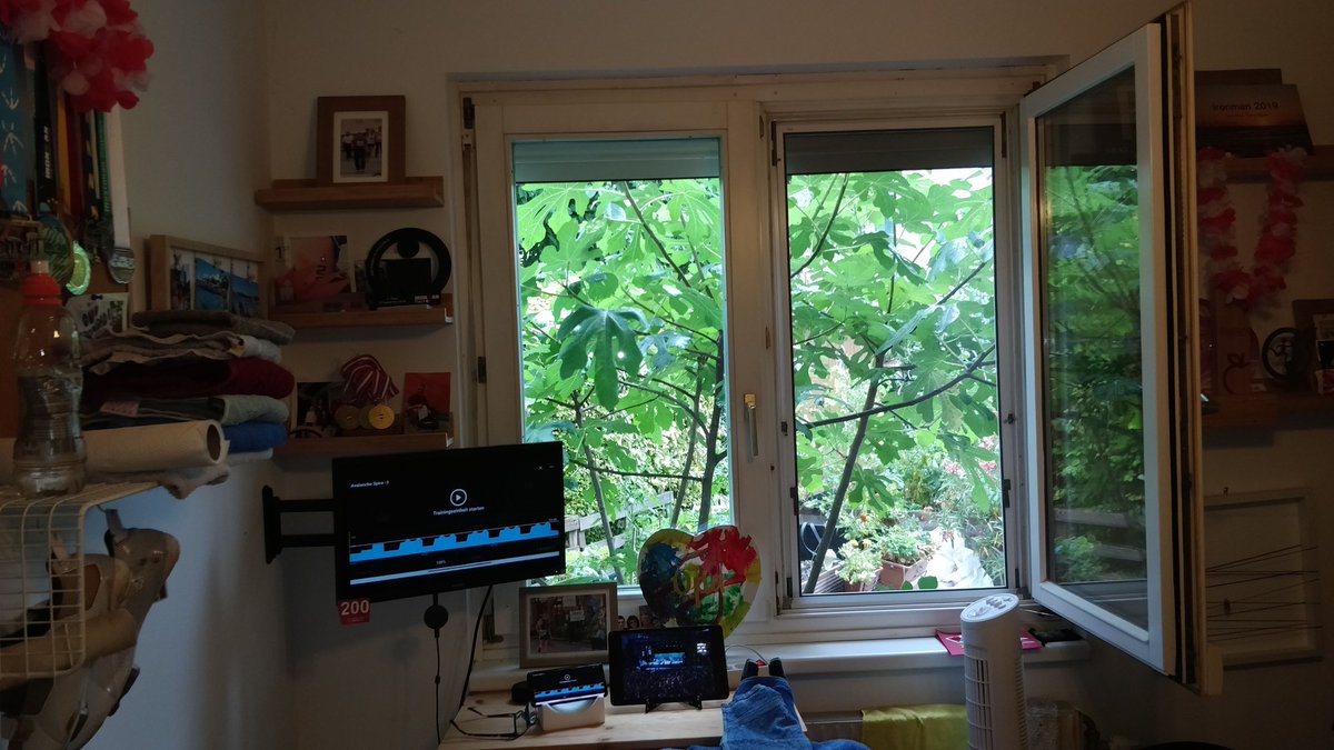 franzwolkow's tweet image. Ein guter Tag für Threshold und Led Zeppelin 🚴 #indoor #trainerroad