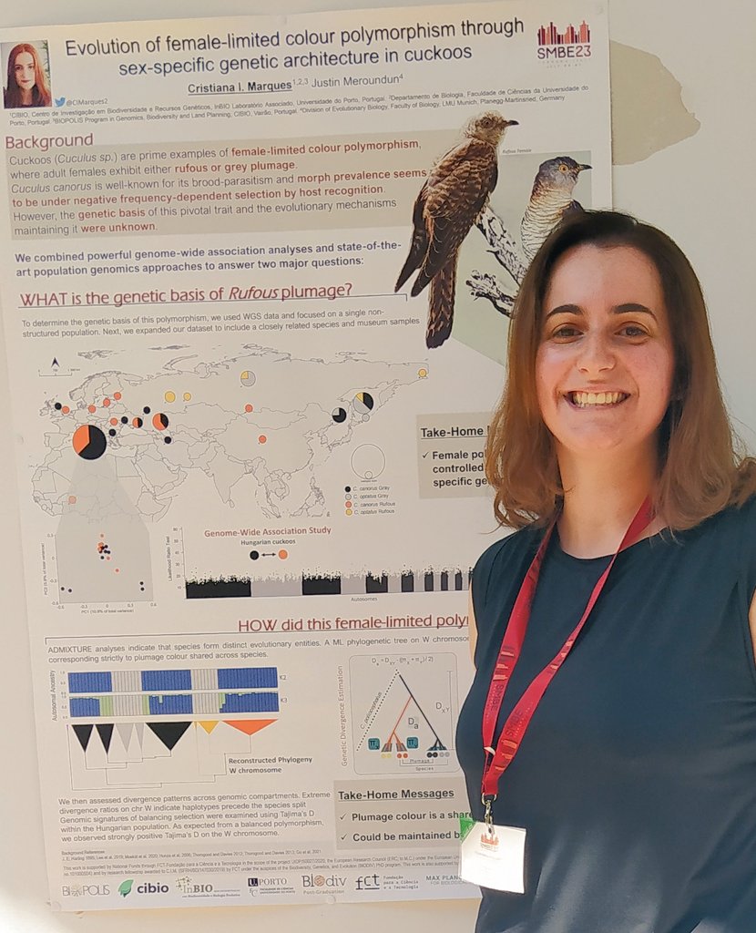 CristianaMarques tweet media