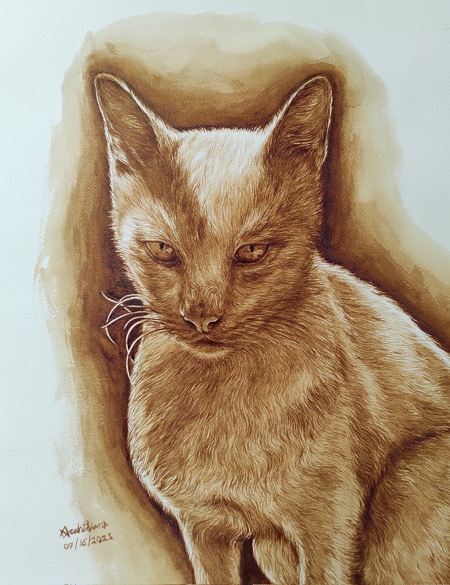 'CoffeeCat' 

Freehand  Coffee Painting
#Coffeeart #Coffeepainting #Coffeelover #artcollector #Art #Artshill #NFTCollector #painting #Drawing #Sketching