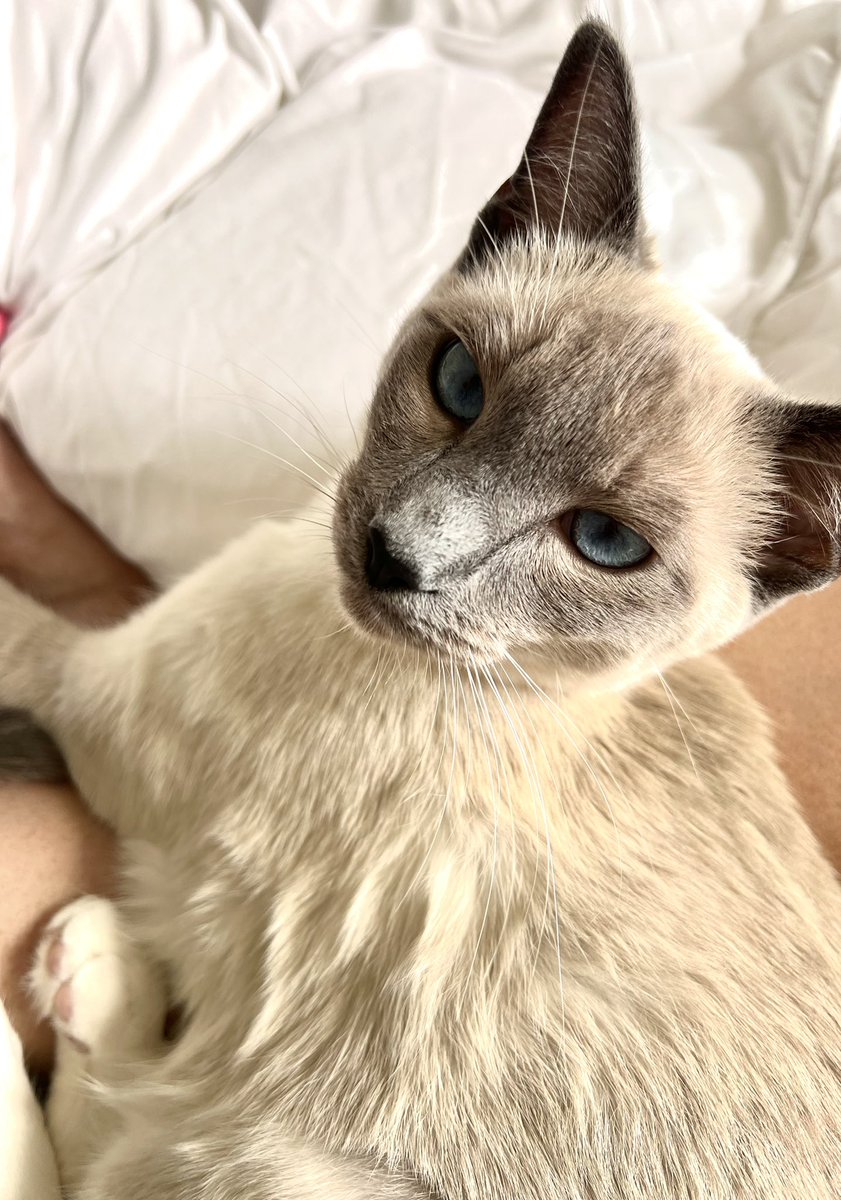 Stoma Babe tweet media