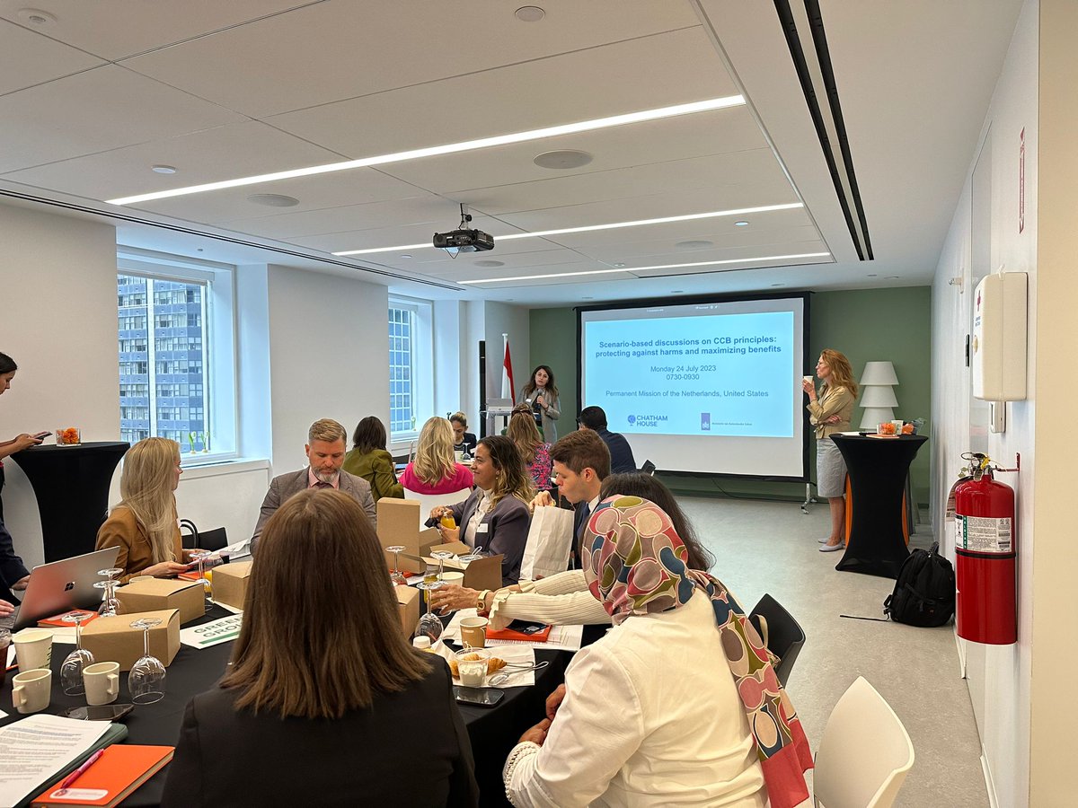 We are in NY this week participating in the OEWG. As part of #Cyberspace4All project, we organized a side event with the  great support of the Dutch Permanent Mission on "Cyber  Capacity Building (CCB) Principles: Protecting against harms and  maximizing benefits."