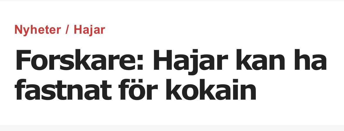 HelenaPersson0's tweet photo. Snart utvecklar de ben och kommer upp på land för att få sitt knark #evolutionen https://t.co/xIcH55t54G