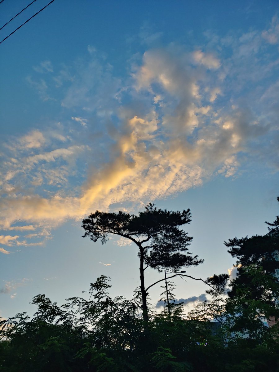 길고 길었던 
여름 장마의 끝인가?