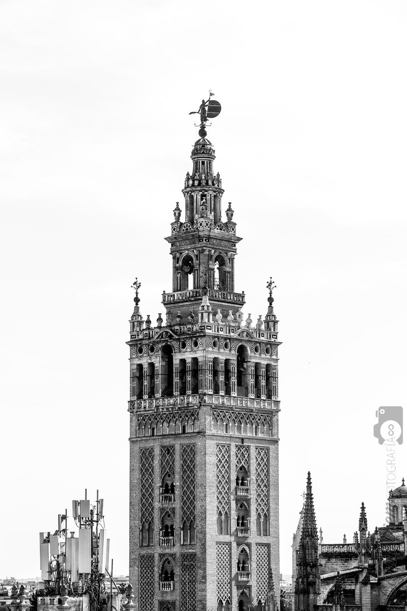 B&N 

.
.
.

#Sevilla #SevillaHoy #SevillaCity #SevillaCiudad #Andalucia #catedral #España #Spain #svq #sevillagram #sevillespain🇪🇸 #foto #fotografia #fotosevilla #photography #photo
