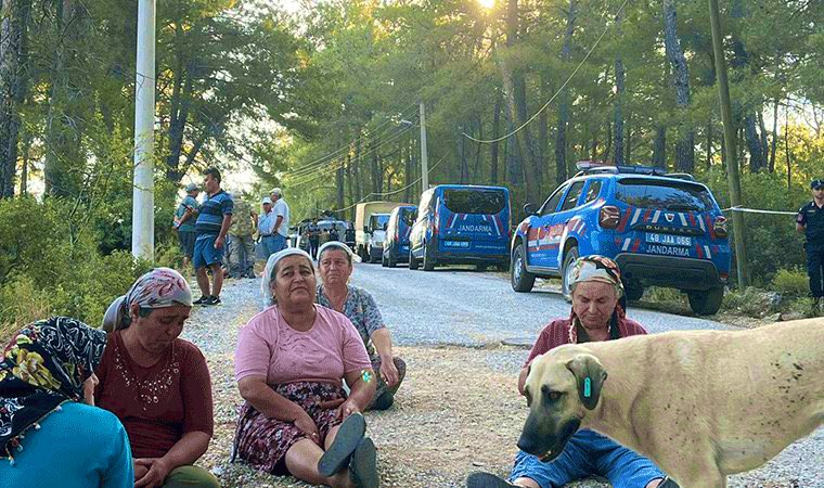 Arkadaşlar siz de destek olun lütfen.Bizden alınan yüklü vergilerle maaş alan tüm milletvekillerini göreve davet edelim.İnsanlara destek olmak için Akbelen'e gitsinler,halka destek olsunlar!
Halk olarak nereyi koruyacağımızı şaşırdık.
Gücümüz yetmiyor
#AkbeleneDokunma