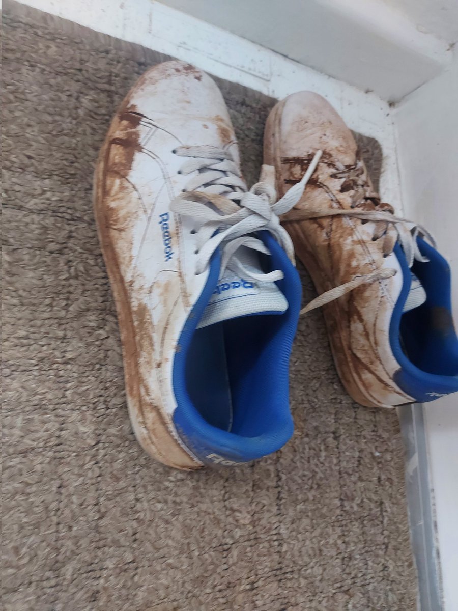 Robin Adams 🇿🇦 tweet media