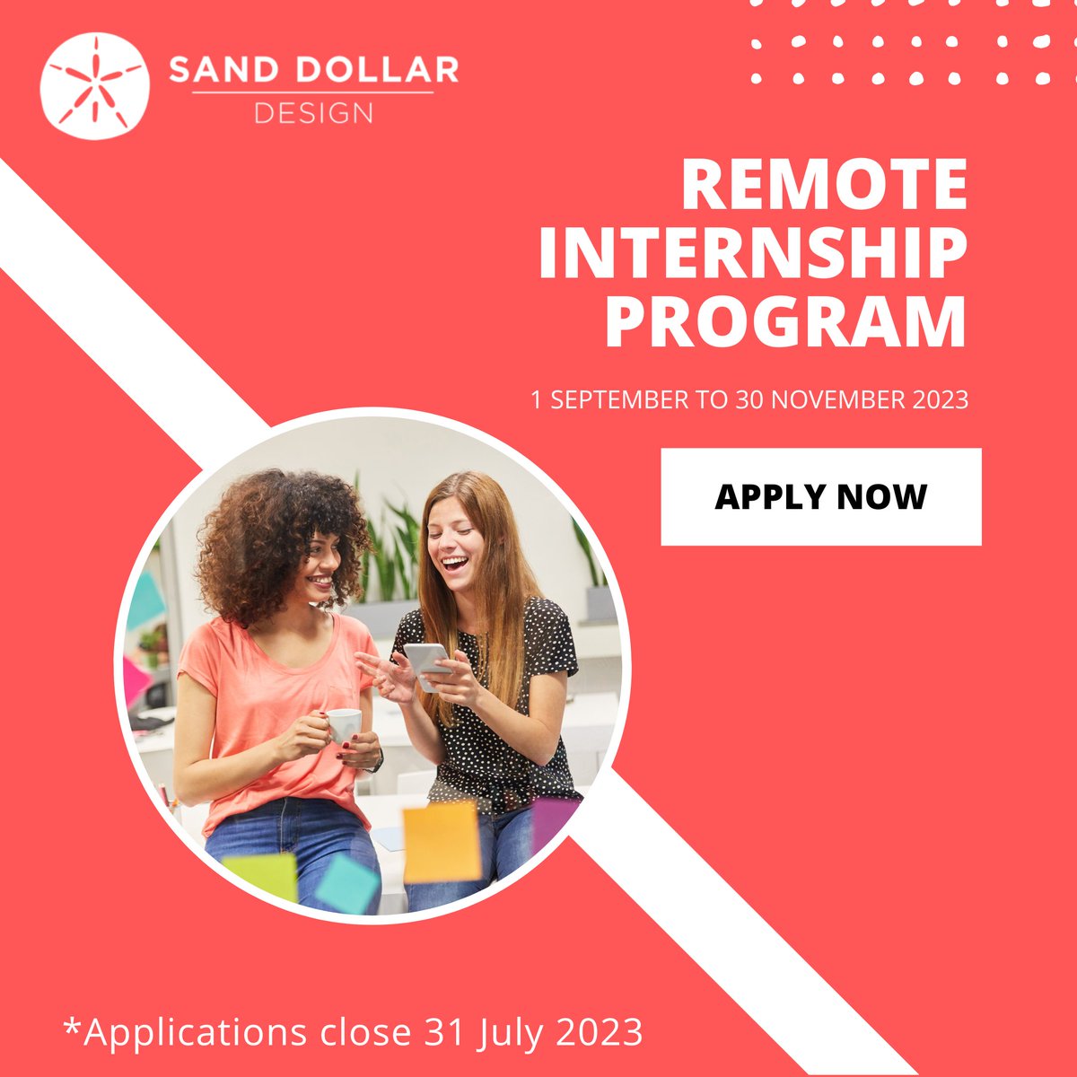 Sand Dollar Design tweet media