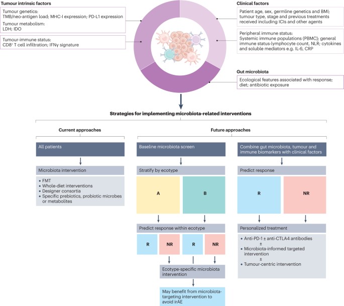 In a Review now published online, Rebecca C. Simpson, Erin R. Shanahan, Richard A. Scolyer &amp; Georgina V. Long discuss approaches to modulate the gut microbiota to improve the effectiveness of ICIs in patients with cancer: nature.com/articles/s4157…