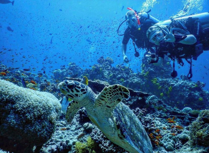 ‘Love at first swim’

¿Te imaginas hacer un safari marino y nadar entre tortugas? <a href="/finolhumv/">Finolhu Baa Atoll Maldives</a> y <a href="/divebutler/">Dive Butler</a> te ayudan a tachar esta experiencia de tu lista de deseos. 🌊🐢

#barefootchic