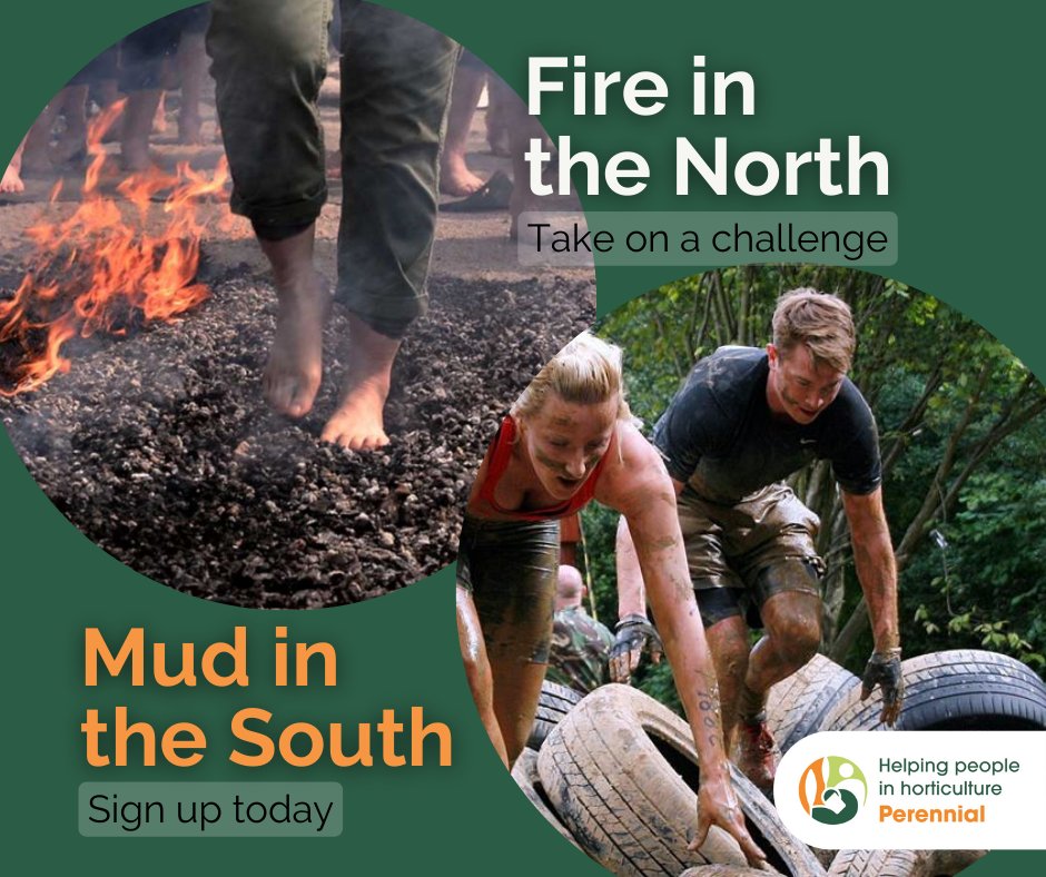 Perennial tweet media