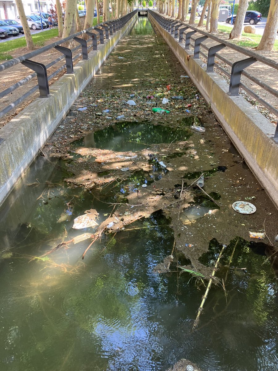 AntoniRuizG's tweet photo. @ajdemollerussa @solsona_marc @joelbastons Podrien començar per la neteja del canal a l’altura de la casa canal per tal d’evitar la plaga de mosquits tigre i d’altres q pateixen veins i sobre tot els residents de Can Jaques q no poden sortir a passejar sense ser acribillats, doncs l’aigua està estancada. https://t.co/dYWn82cyfX