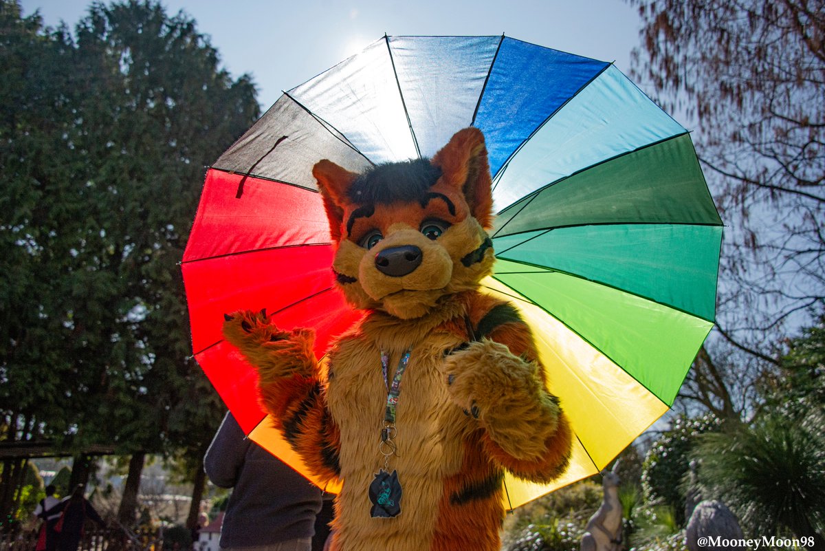 Had a magnificent time with some macro furs at the  
<a href="/CanberraFurries/">Canberra Furs</a> meet, thanks you everyone there. Can't wait for the next meet.
All the images from the meet can be found in the link
drive.google.com/drive/folders/…