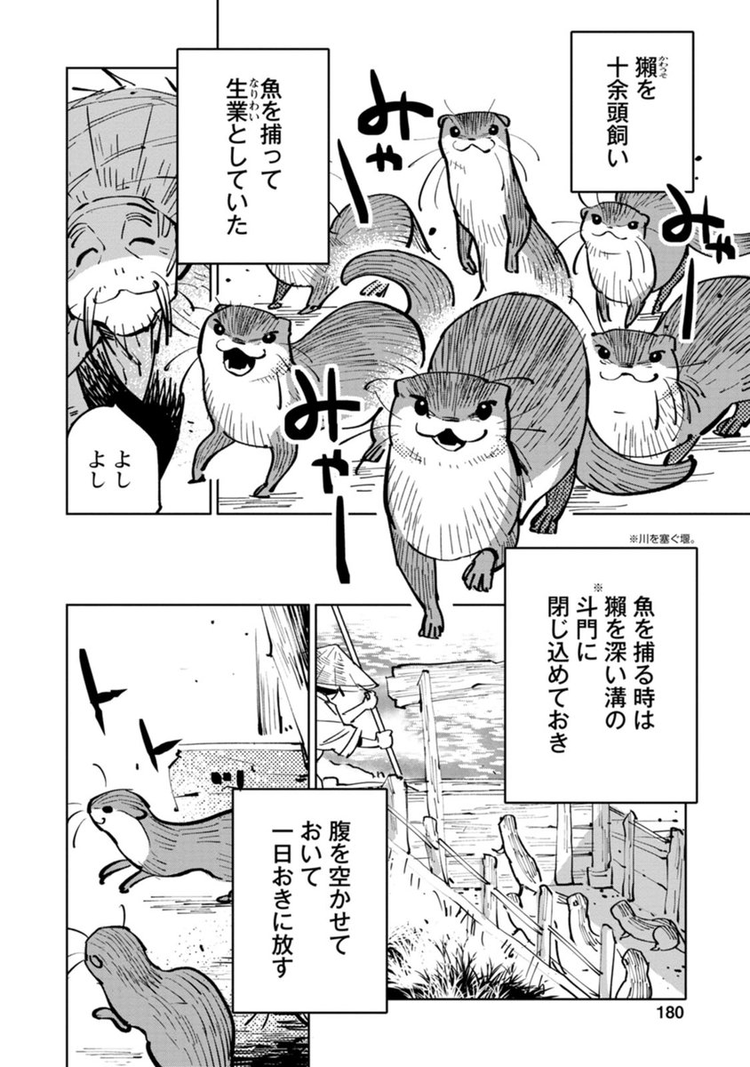 カワウソを飼う男(2/2︎)