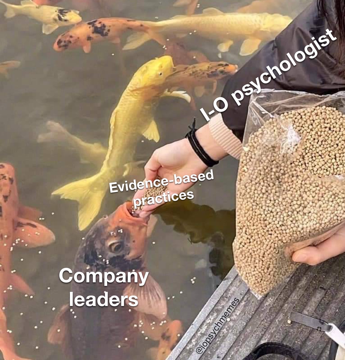 iopsychmemes's tweet photo. We are here for the science, even if we don’t mention it when we make our recommendations.
#EvidenceBasedManagement #OHPsych #IOPsych #iopsychmemes #psychology #psychologymemes #psychmemes #APpsych (rerun) https://t.co/SKayFttKTQ