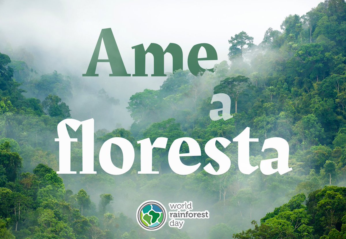 Hoje e todos os dias, celebramos este precioso ecossistema, que é vital para nosso futuro coletivo neste planeta. #LoveTheForest #WorldRainforestDay