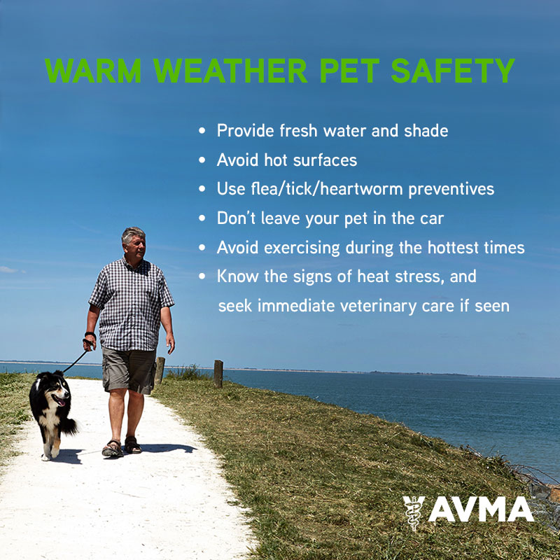 🎤🎼🗣"Summer's here and the time is right for...warm weather pet safety tips" Those are the lyrics to the song, yes? Even days that don’t seem that hot to you can still pose risks to your pet. Being prepared can help keep your pet safe: bit.ly/3hFNBNR