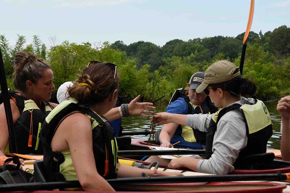 Maryland DNR tweet media