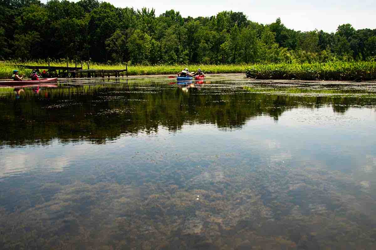 Maryland DNR tweet media