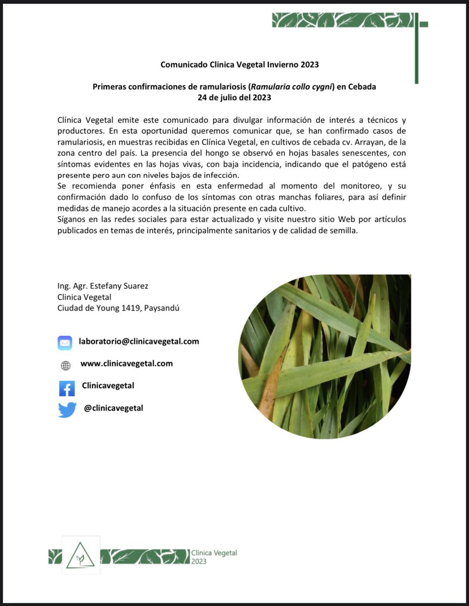 ClinicaVegetal's tweet photo. Primera detección de ramulariosis en cebada, zafra invierno 2023.

Clínica Vegetal - Seriedad basada en conocimiento

🖥️ https://t.co/hYwU77zWIi
📞 tel: 092 640 354

#clinicavegetal  #monitoreo #ramulariosis #sanidad #cultivo https://t.co/zf9LbowkjX