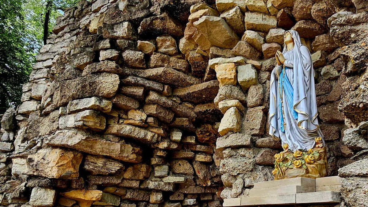 diospringfield's tweet photo. It's been about 1 month since our diocese officially welcomed the Norbertine Fathers to Springfield, IL. Have you had a chance to visit or join them in prayer? Here are some beautiful images you might see when visiting the campus. Read more at https://t.co/szBCTyZLqK
#norbertines https://t.co/NuZRzuSEDB