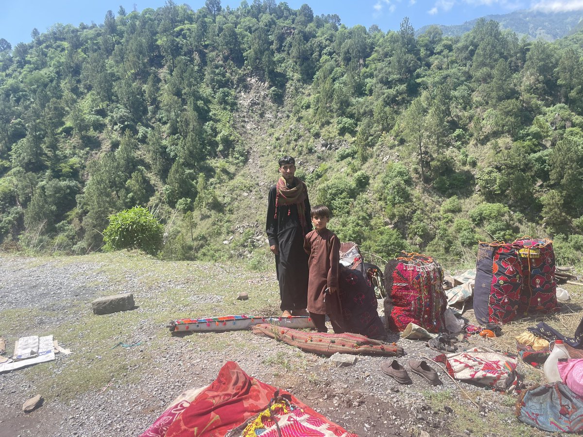 NylaKayani's tweet photo. Bakarwal tribes during seasonal migration from various regions of Punjab to Kail in #NeelumValley . This year, these tribes had to suffer loss of life and cattle head due to a glacial avalanche in #ShounterValley later.

#ClimateChange https://t.co/Nx6PACfwTT