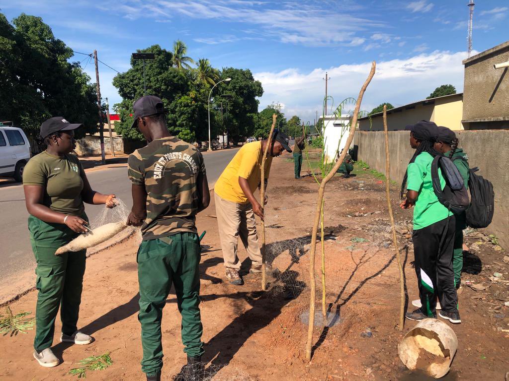 asergmv's tweet photo. Démarrage de la campagne nationale de reboisement 2023 au niveau des écoles et mosquées de la commune de Ziguinchor : une nouvelle lueur d'espoir pour un Senegal vert.
#asergmv #gmv #Senegal #dakar #reboisement #environment https://t.co/RR5tToYsGp
