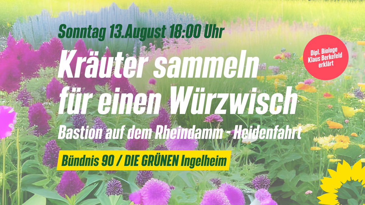 Kräuter sammeln für einen Würzwisch 
Bündnis 90 / DIE GRÜNEN Heidesheim, Wackernheim und Ingelheim, und der NABU laden ein zum jährlichen Kräuter sammeln für einen Würzwisch!
🗓️13.08.2023
🕕18:00 Uhr
📍Bastion auf dem Rheindamm, Heidenfahrt