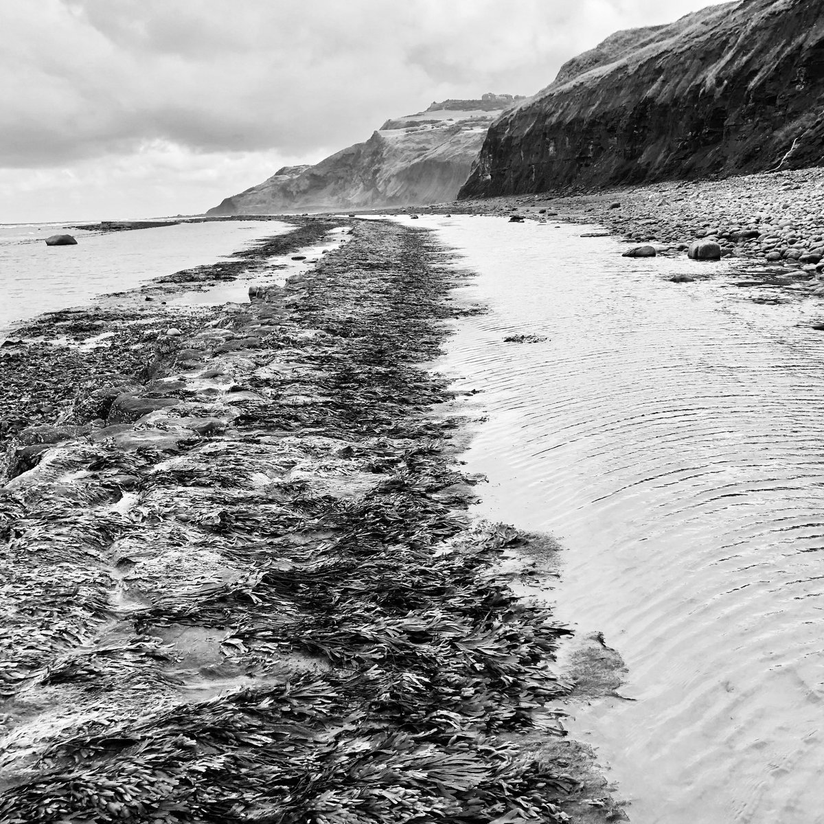 PixelPixelWoman tweet media