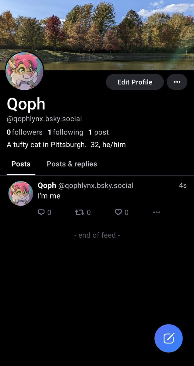 QophLynx's tweet photo. I am now on Other Site as a fallback thanks to @MipptActual https://t.co/v6cKS3qh3J