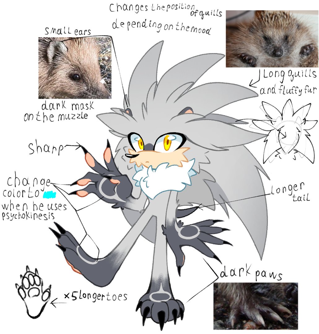 DamnLetyuchka's tweet photo. I drew hedgehogs in the form of mini-references, according to my ideas. Sonic is 4-toed hedgehog, Shadow is hybrid of collared hedgehog and of the Black Arms, Silver is european hedgehog (with some little "mink" details?) 
#SonicTheHedgehog
#ShadowTheHedgehog
#SilverTheHedgehog https://t.co/d1Mt8YduJd