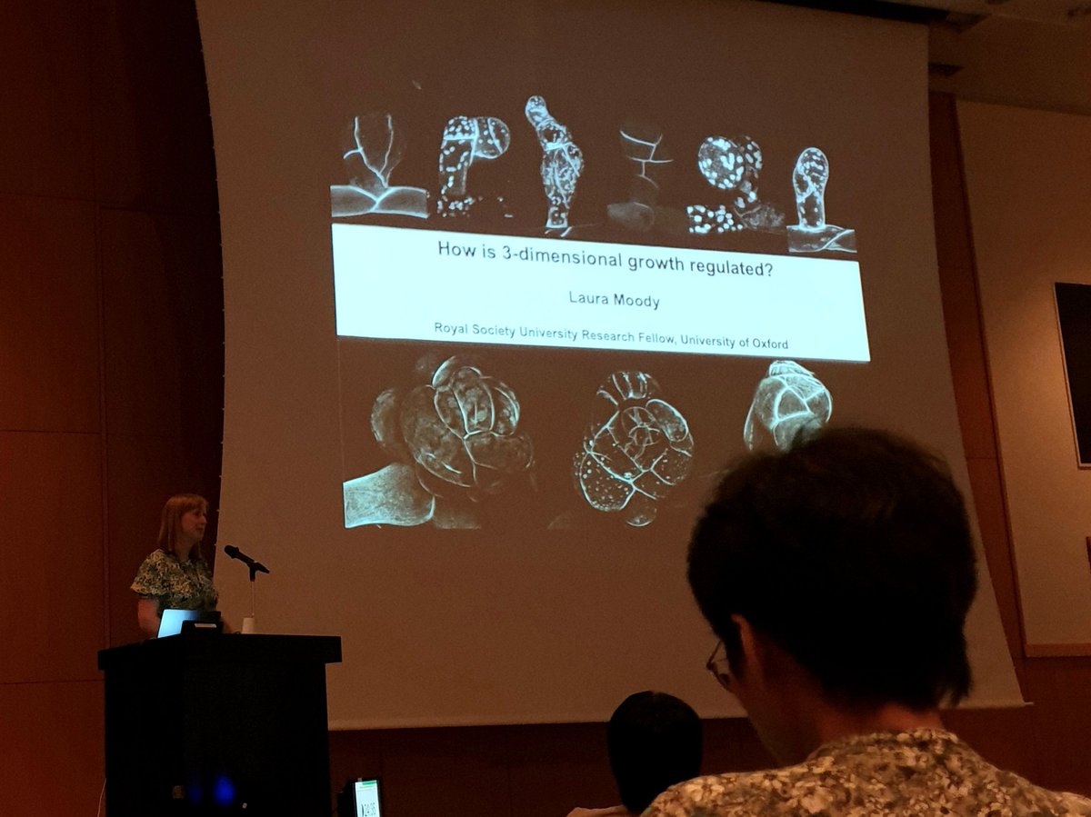 Derry Carr (she/her) tweet media