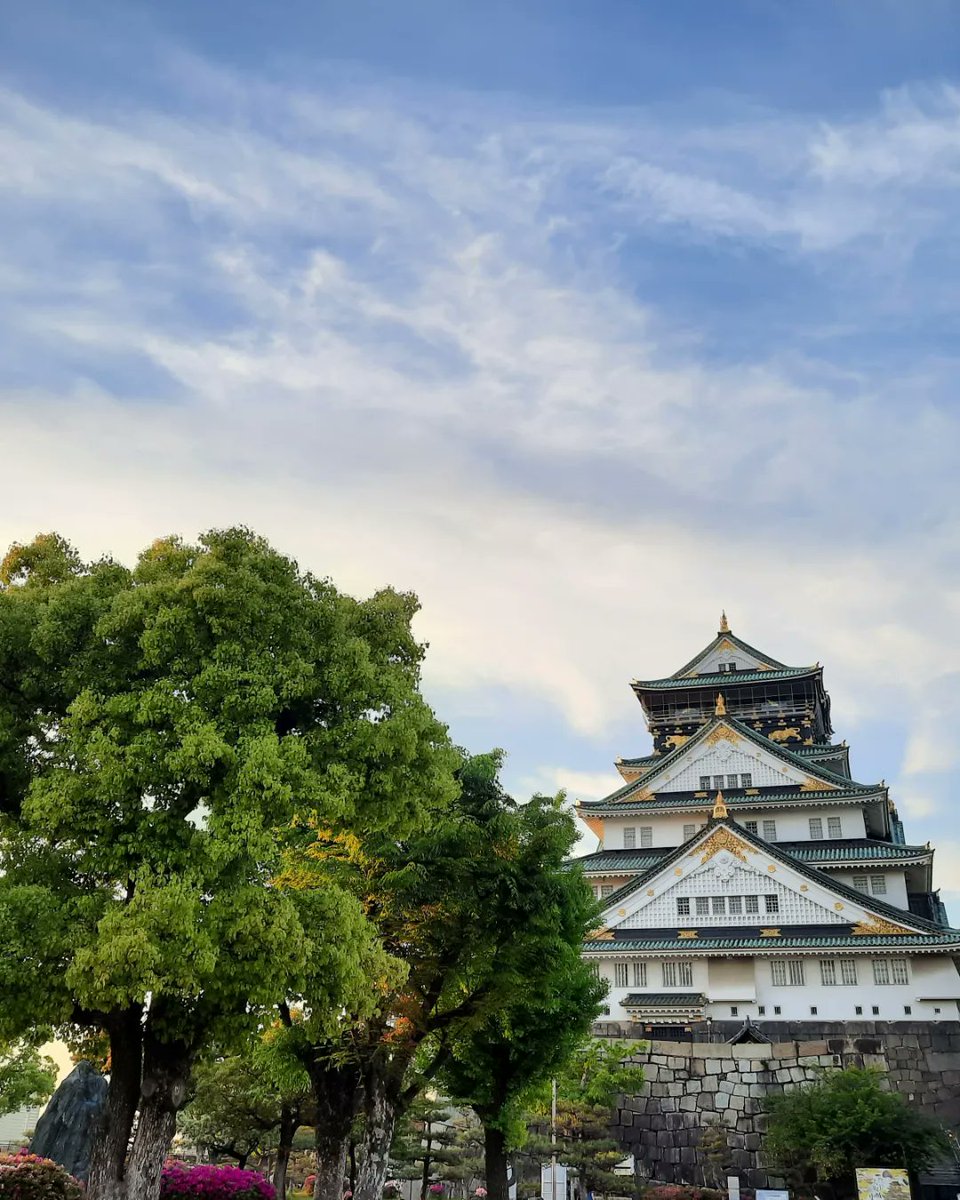teaserette's tweet image. At least we stole the show.
#Osaka #Japanguide #Japantrip #Japantravel #OsakaCastle
