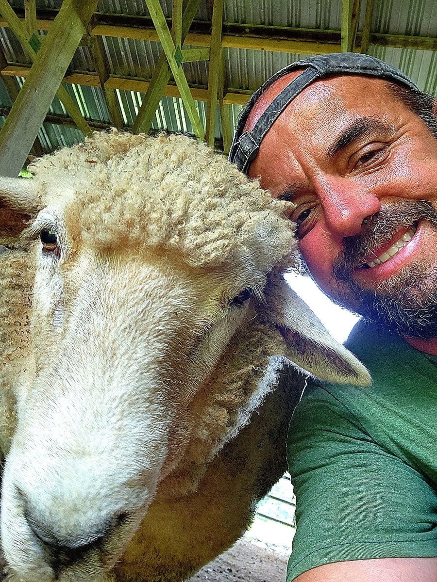 MercyEcology's tweet photo. Friends from the Thomas Merton Center in Bridgeport had some days of retreat, relaxation and work in the gardens.  Hugging sheep is a bonus! https://t.co/FoeYicnc41 https://t.co/Ms5h068Twe
