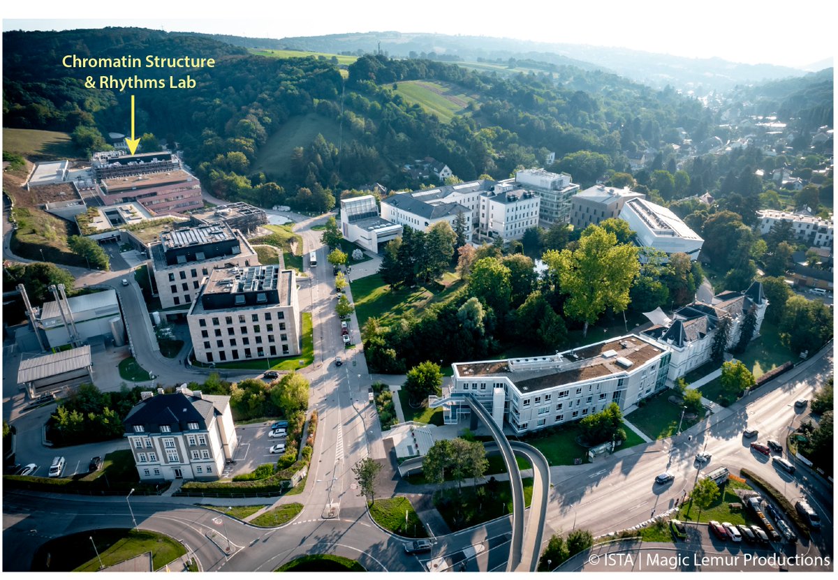 Alicia K. Michael tweet media