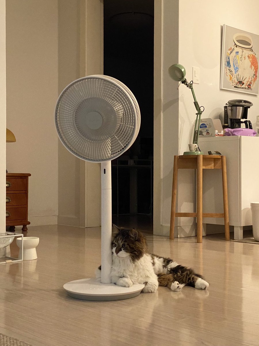 선풍기의 수호냥