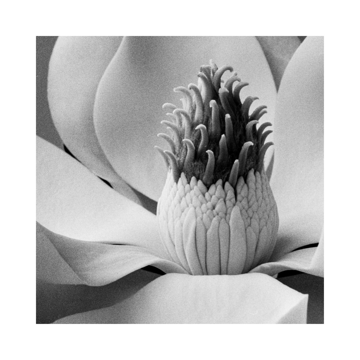 kylehoffmann.eth tweet media