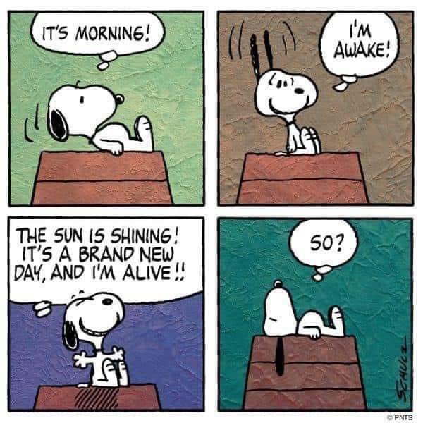 Peanuts_4Fans's tweet photo. Enjoy your day https://t.co/8foO7hBgQH