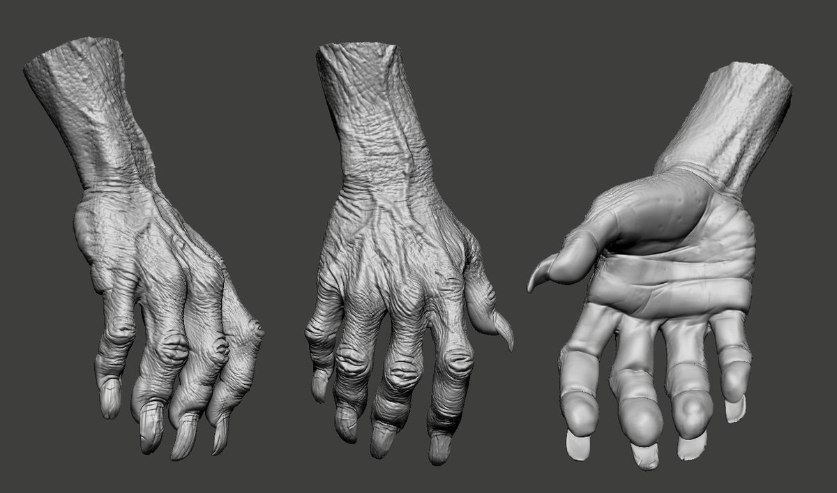 A WIP of Deev's hand