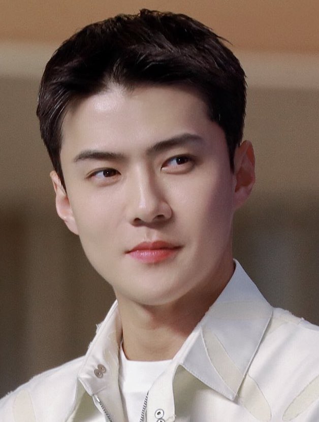 ohsehunfolder's tweet photo. a real life prince 🤍👑 https://t.co/BEInTphlJ4