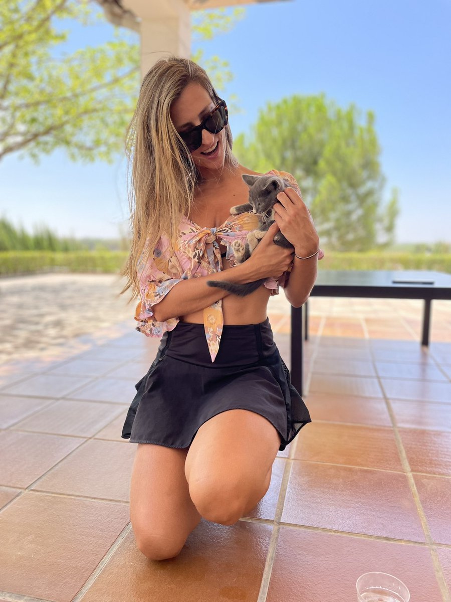 WANTED: Se busca cuidador para estas preciosidades ♥️♥️ 

Son hermanos 🐈‍⬛🐈 que buscan un hogar y cariño 🥰 Muy dóciles, se llevan genial con los niños, súper tiernos. Les encanta estar con las personas. Son puro amor 🫶🏼 
✨¿Quieres adoptarlos? ✨
.
#cats #gatos #adopciondegatos