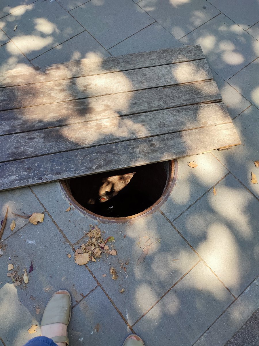 urirosm's tweet photo. @ajbegues @policiabegues bona tarda. al camí ral 54 hi ha una claveguera sense tapa, quan pogueu... https://t.co/Qt76OyXfRR
